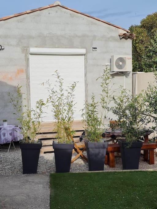 Appartement 53 M² - Pignans Au Coeur Du Var エクステリア 写真